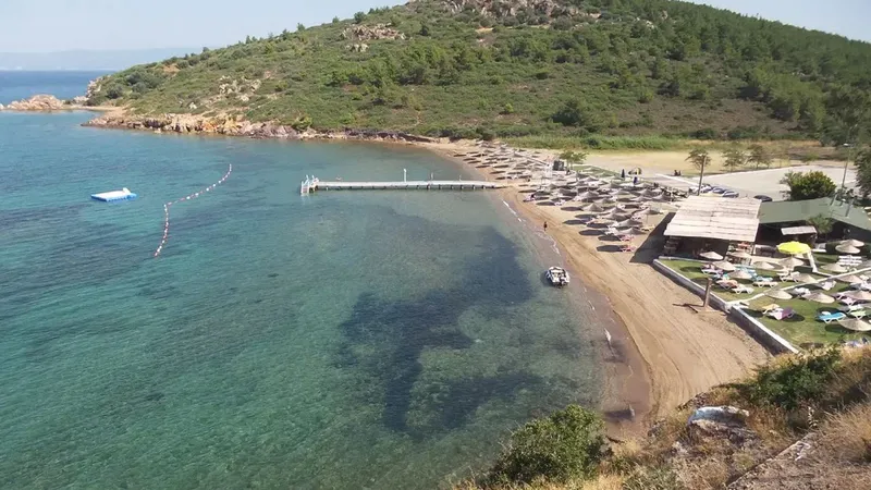 tilki koyu gomec - Marmara Bölge Gazetesi