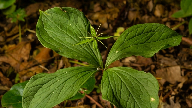 1 12 - Marmara Bölge Gazetesi