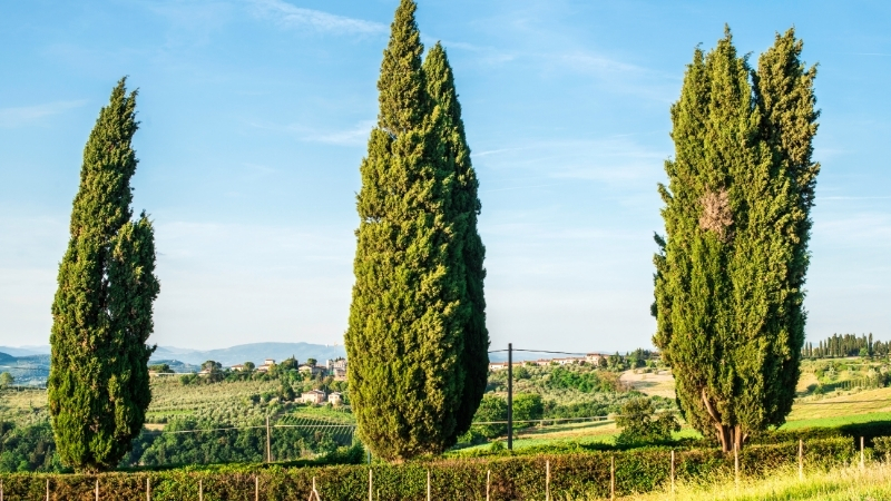 1 28 - Marmara Bölge Gazetesi