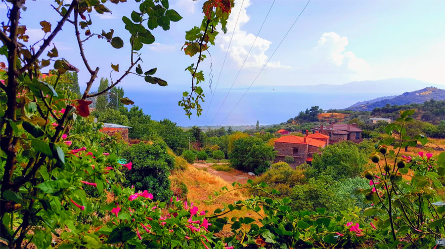 Zeytin kokulu sokakları, taş evleri ve Ege’nin maviliğine karşı sunduğu
