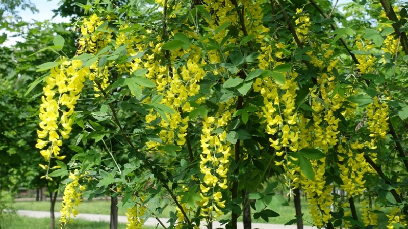 1 4 - Marmara Bölge Gazetesi