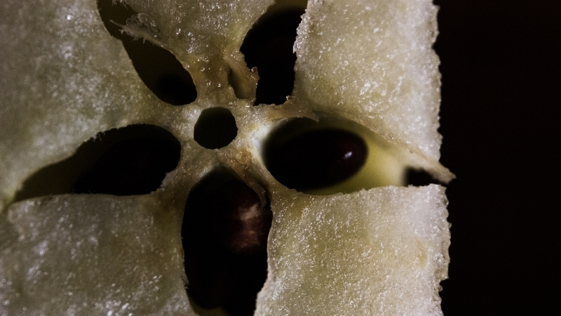 1 62 - Marmara Bölge Gazetesi