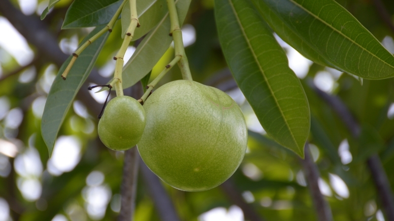 1 9 - Marmara Bölge Gazetesi