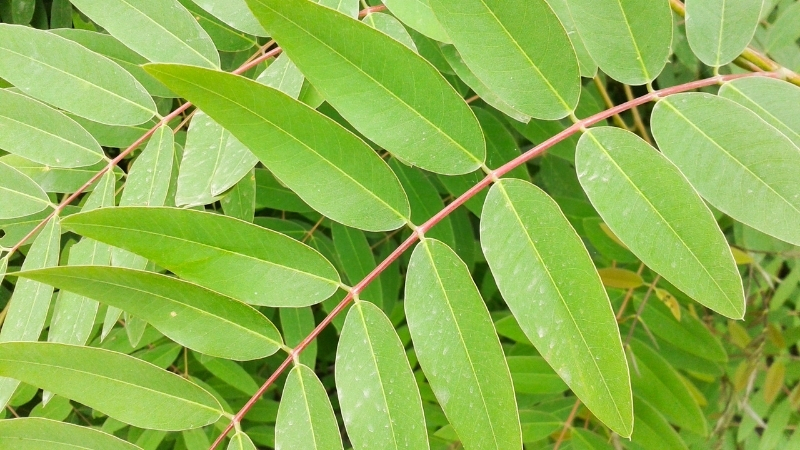 10 14 - Marmara Bölge Gazetesi