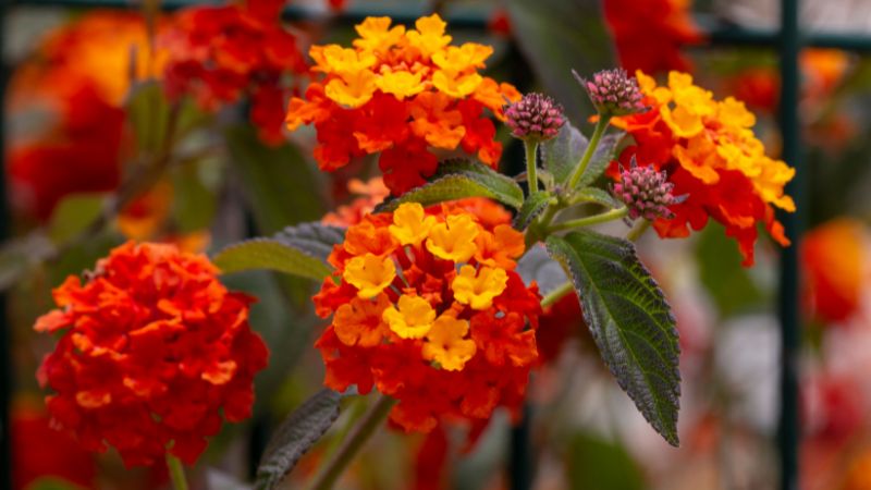 10 3 - Marmara Bölge Gazetesi