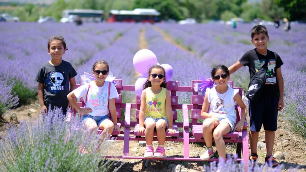 Balıkesir’de Lavanta Günleri Başlıyor 1542540053Altieylulde Mor Bir Ruya Altieylul 3. Lavanta Gunleri Basli 1 - Marmara Bölge Gazetesi