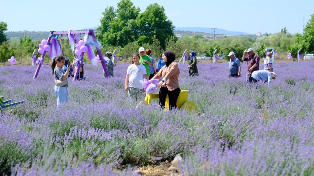 Balıkesir’in Altıeylül ilçesine bağlı Nergiz (Çiçekpınar) Mahallesi, 20-21-22 Haziran tarihlerinde