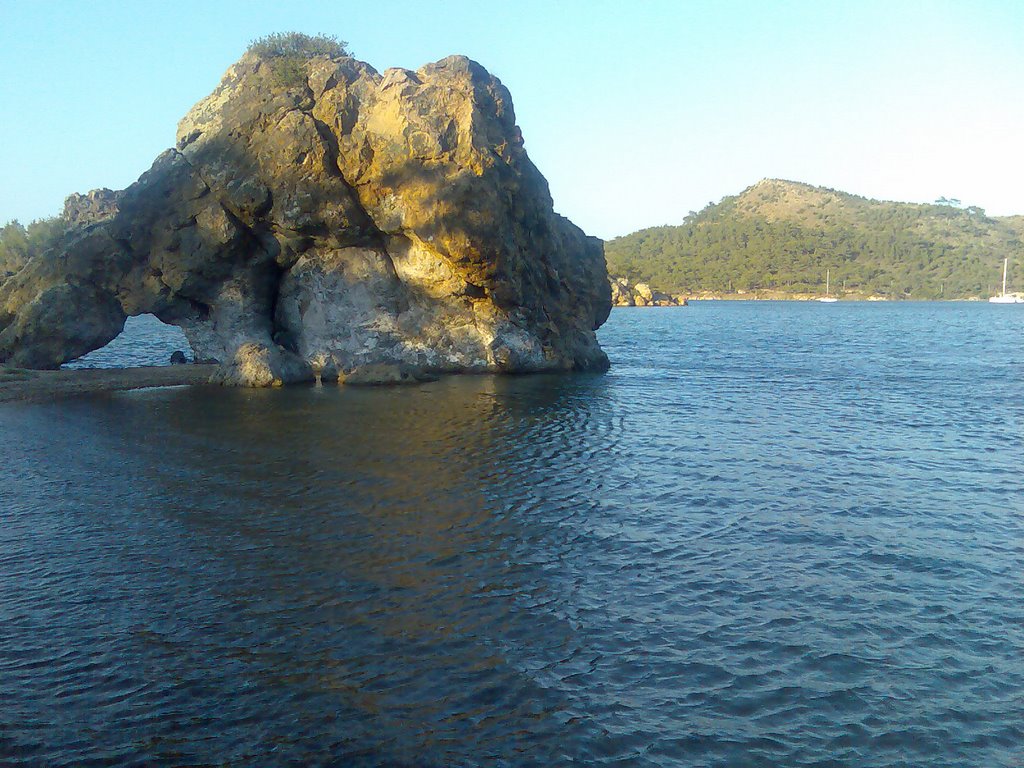 19977909 - Marmara Bölge Gazetesi