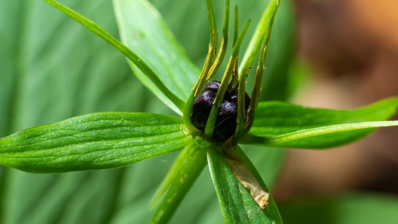 2 13 - Marmara Bölge Gazetesi