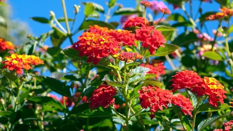 2 17 - Marmara Bölge Gazetesi