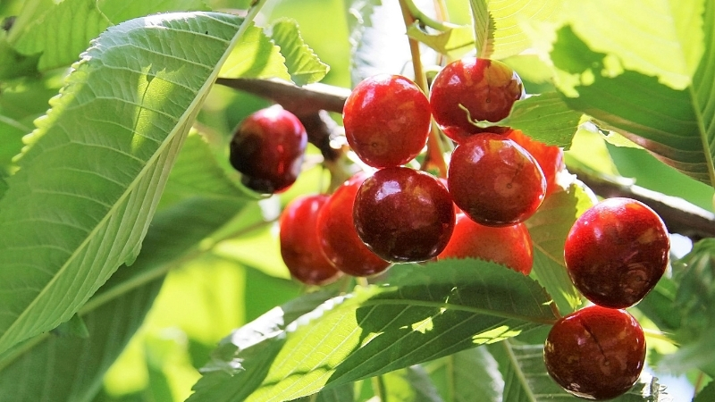 2 41 - Marmara Bölge Gazetesi