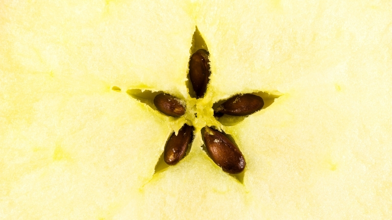 2 62 - Marmara Bölge Gazetesi