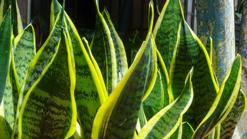 2 91 - Marmara Bölge Gazetesi