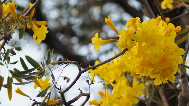 3 10 - Marmara Bölge Gazetesi