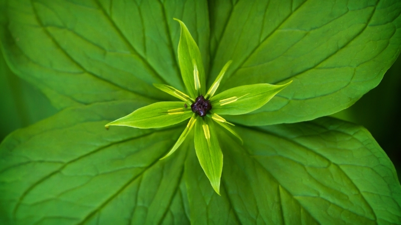 3 13 - Marmara Bölge Gazetesi