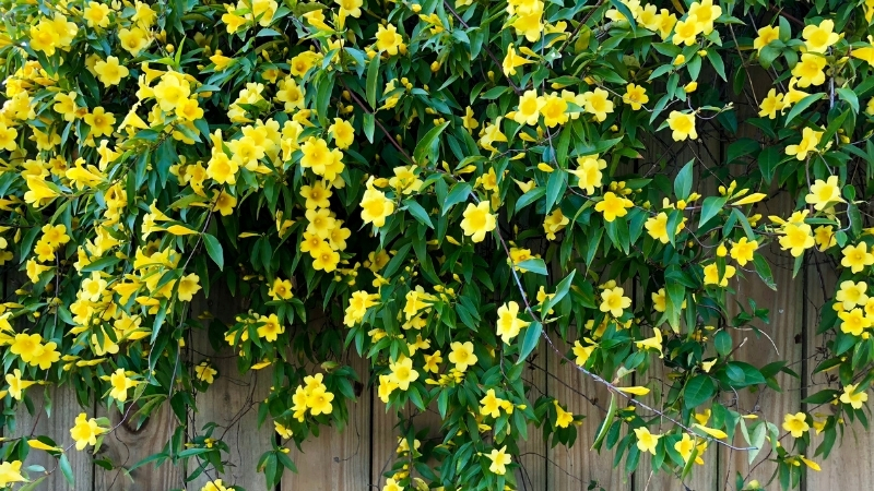 3 22 - Marmara Bölge Gazetesi