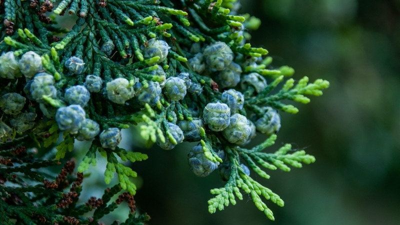 3 29 - Marmara Bölge Gazetesi