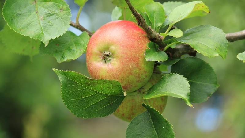 3 41 - Marmara Bölge Gazetesi