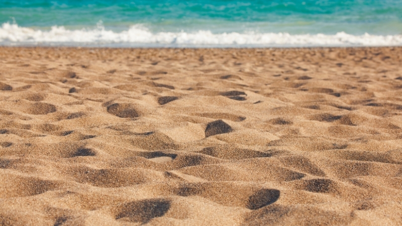 3 54 - Marmara Bölge Gazetesi