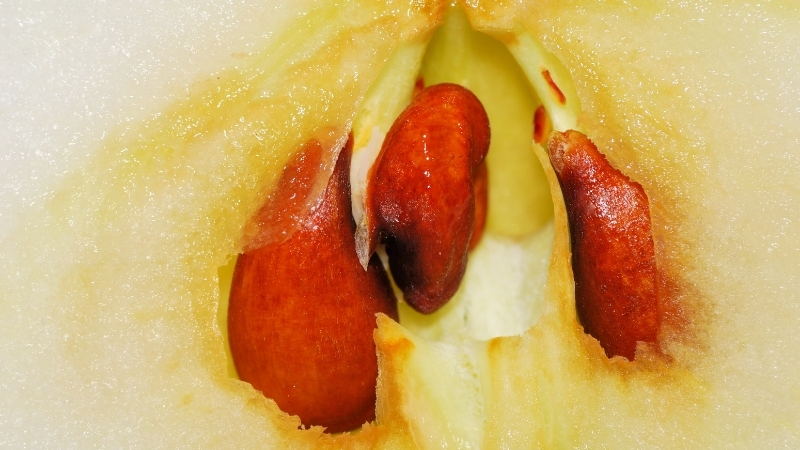 3 62 - Marmara Bölge Gazetesi