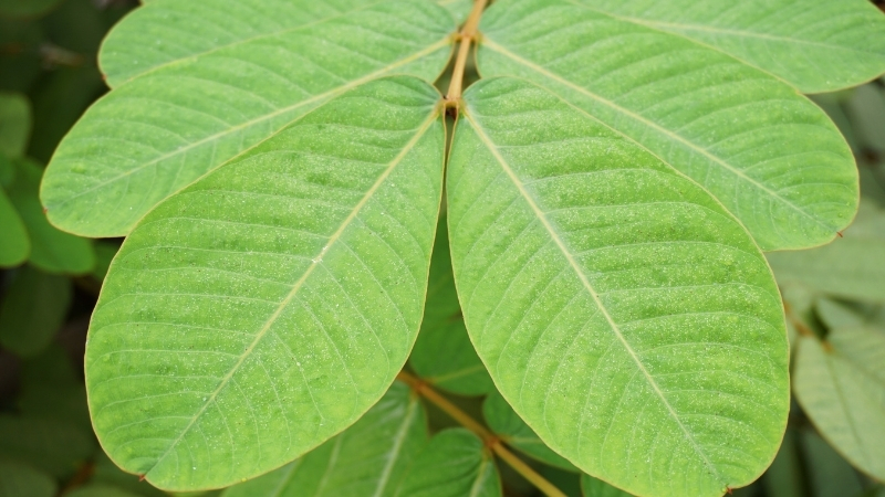 3 81 - Marmara Bölge Gazetesi