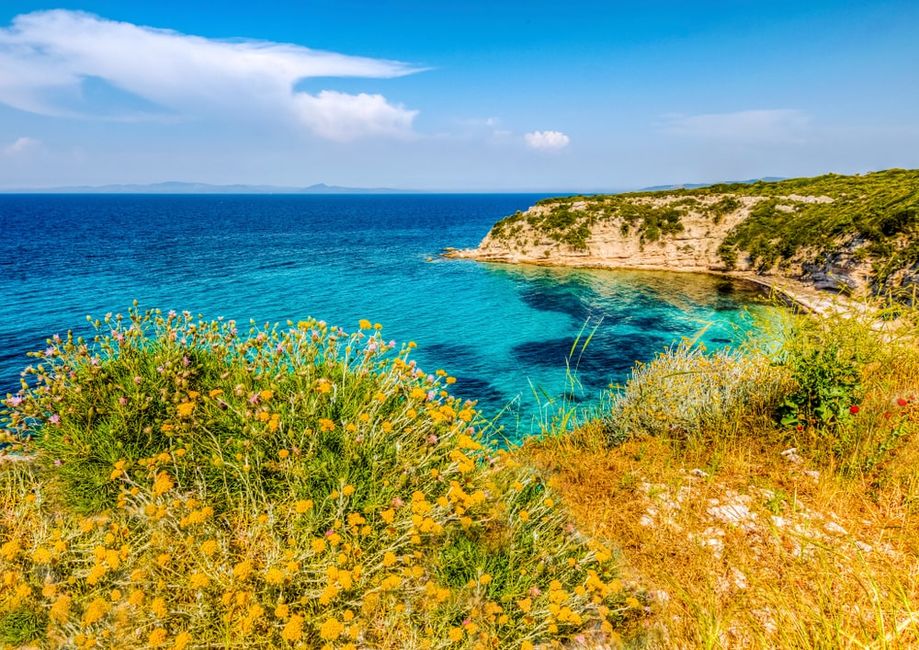 Ege’de Çam Ormanlarının Arasında Saklı, Suyu Serin, Havası Temiz En Güzel Rota 3114613 9db195ed38f8ed40b5d73f4a9fdf439d - Marmara Bölge Gazetesi