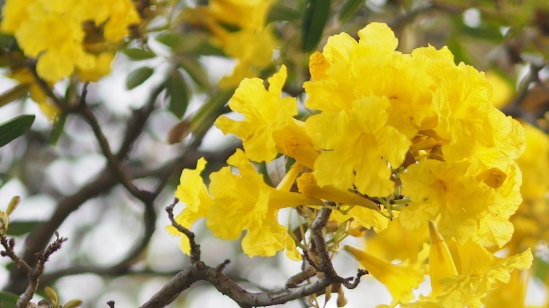 4 10 - Marmara Bölge Gazetesi