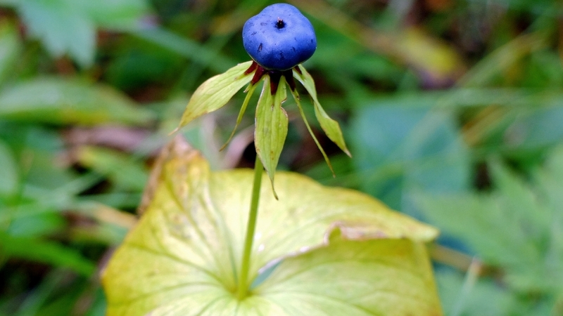 4 14 - Marmara Bölge Gazetesi