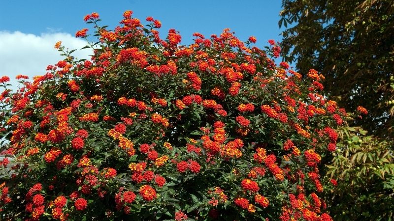 4 17 - Marmara Bölge Gazetesi