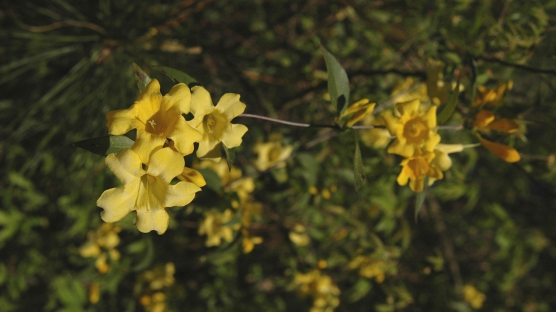 4 22 - Marmara Bölge Gazetesi