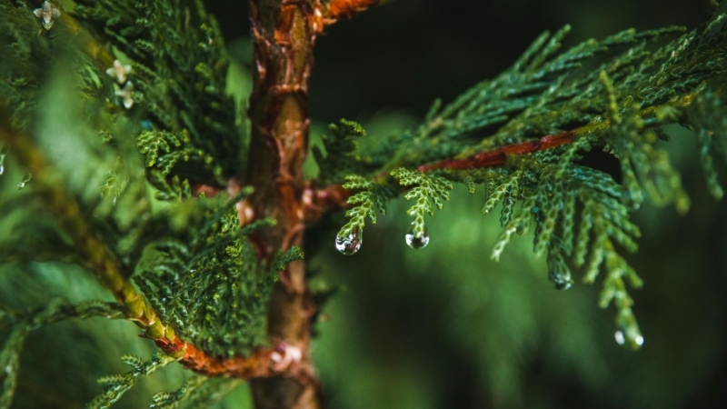 4 29 - Marmara Bölge Gazetesi