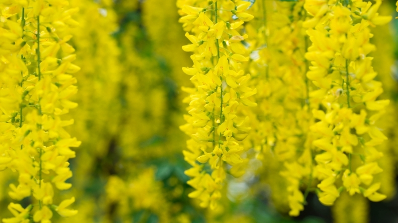 4 3 - Marmara Bölge Gazetesi