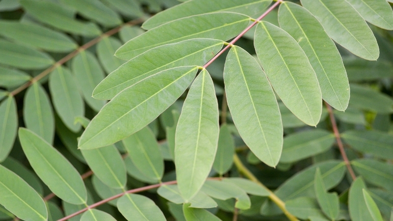 4 74 - Marmara Bölge Gazetesi