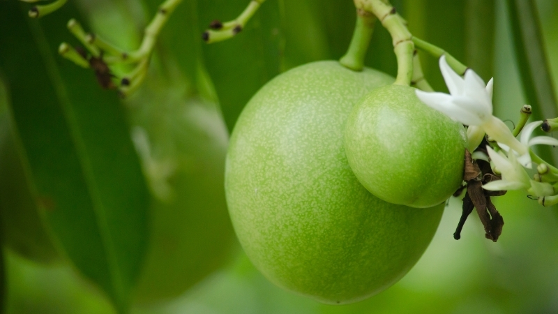 4 9 - Marmara Bölge Gazetesi