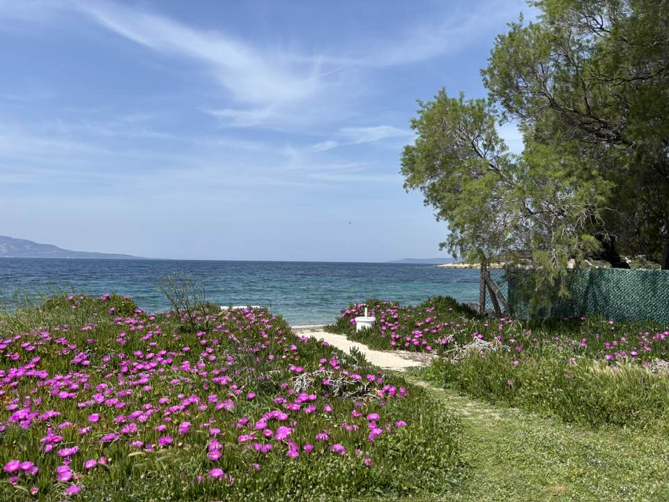 İzmir’in Urla ilçesine bağlı Özbek Köyü, tarihi taş yapıları, huzur