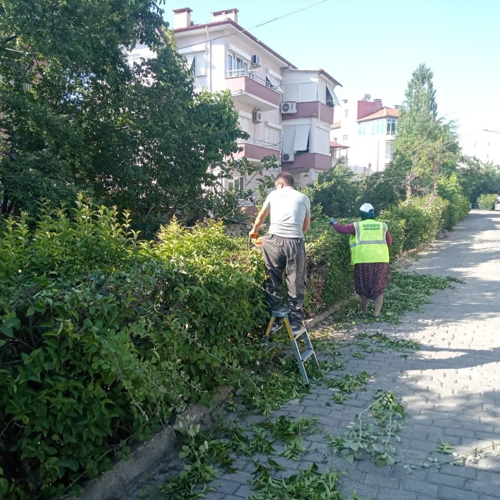 494031873 122199029696300867 3055128277328755704 n - Marmara Bölge Gazetesi