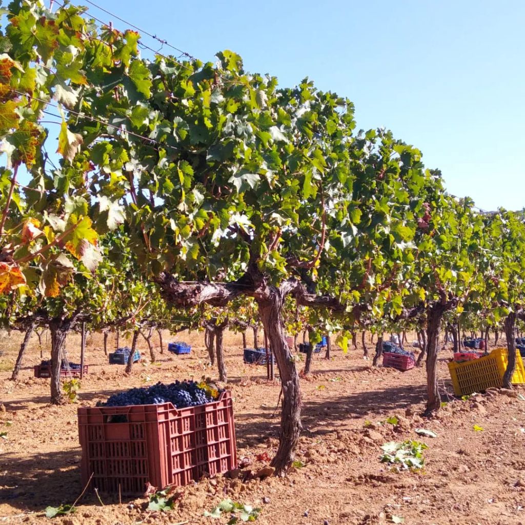 496038644 10235210919243897 514504408564486978 n - Marmara Bölge Gazetesi