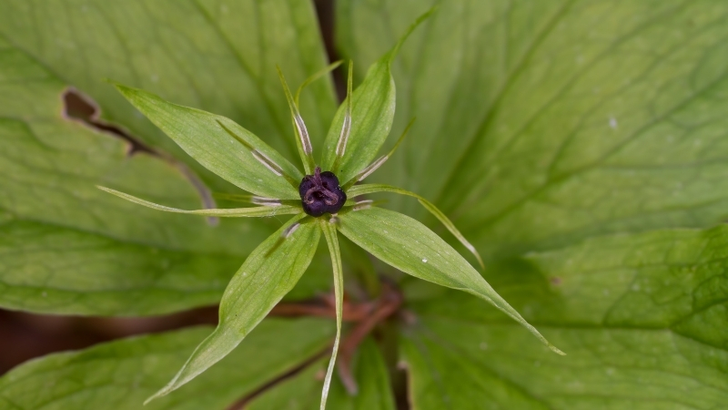 5 12 - Marmara Bölge Gazetesi