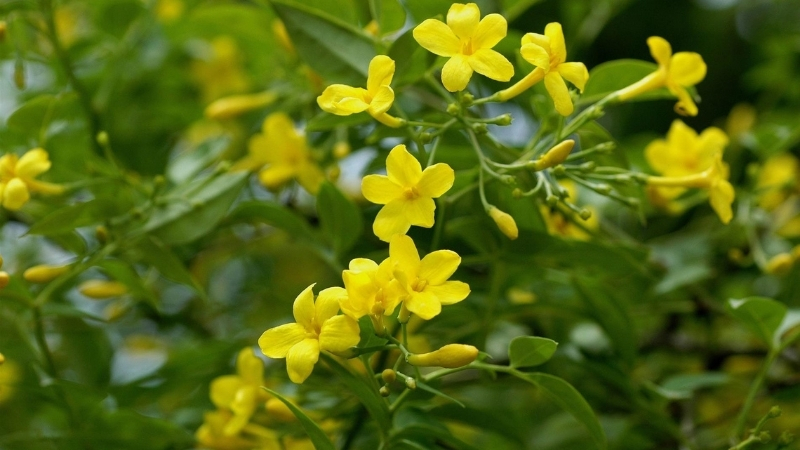 5 21 - Marmara Bölge Gazetesi