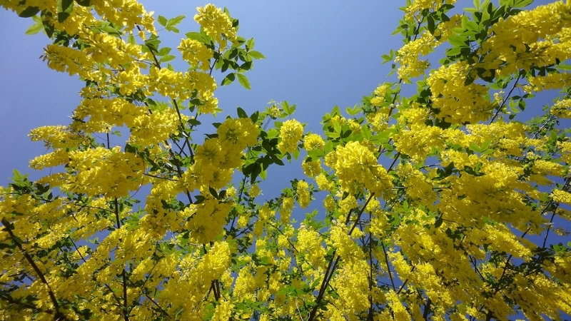 5 3 - Marmara Bölge Gazetesi