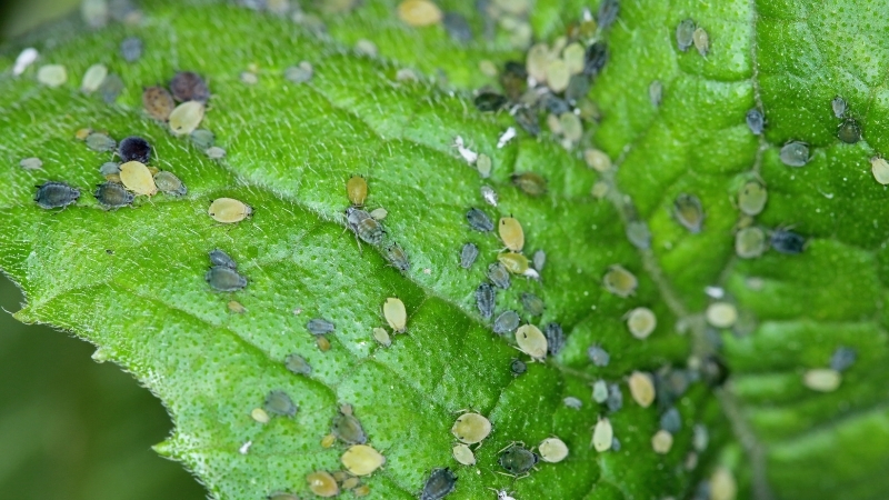 5 70 - Marmara Bölge Gazetesi