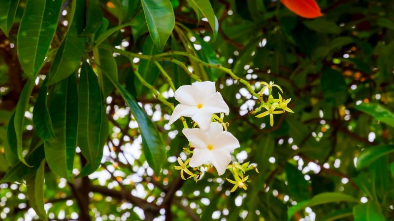 5 8 - Marmara Bölge Gazetesi