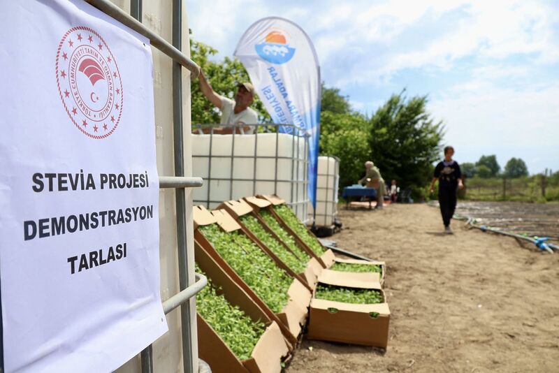 Balıkesir’de Büyük Proje Hayata Geçti 500921696 1084275593734117 6418524368914536004 n - Marmara Bölge Gazetesi