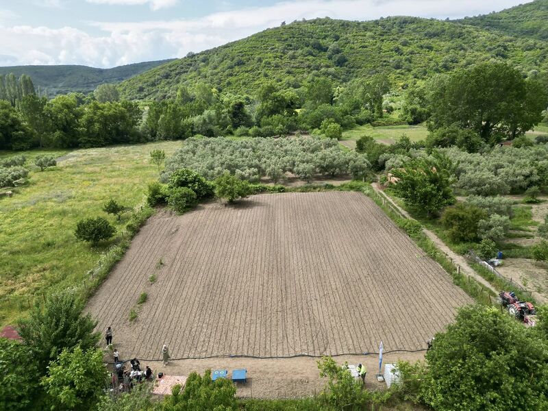 Marmara Adalar Belediyesi’nin desteklediği Stevia Projesi kapsamında, fidan teslimi ve