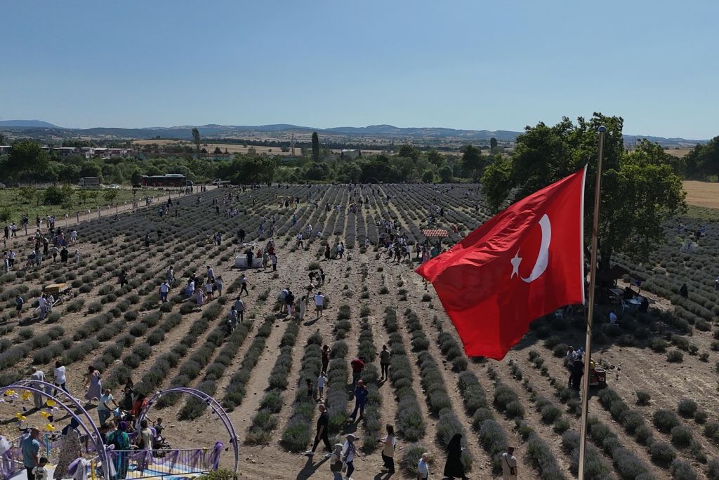 Balıkesir’de Keşfedilmeyi Bekleyen Cennet: Lavanta Bahçeleri Göz Kamaştırıyor 502372354 18411250477100863 4706380634904800636 n - Marmara Bölge Gazetesi
