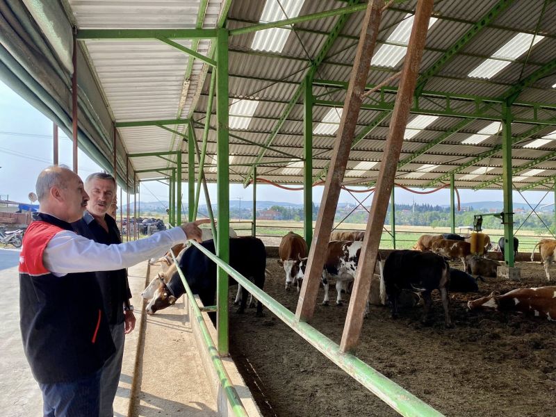 Balıkesir’de Kurban Bayramı öncesi kurban kesim yerleri ve hayvan pazarlarında