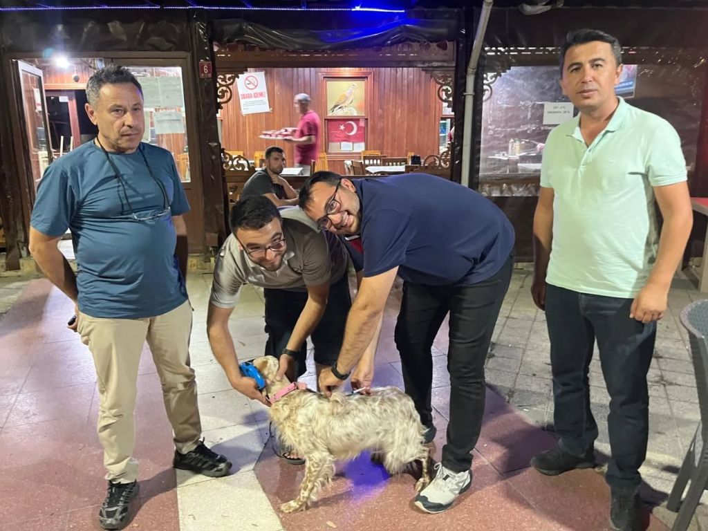 503976732 17965702715921582 3856389202052465691 n - Marmara Bölge Gazetesi