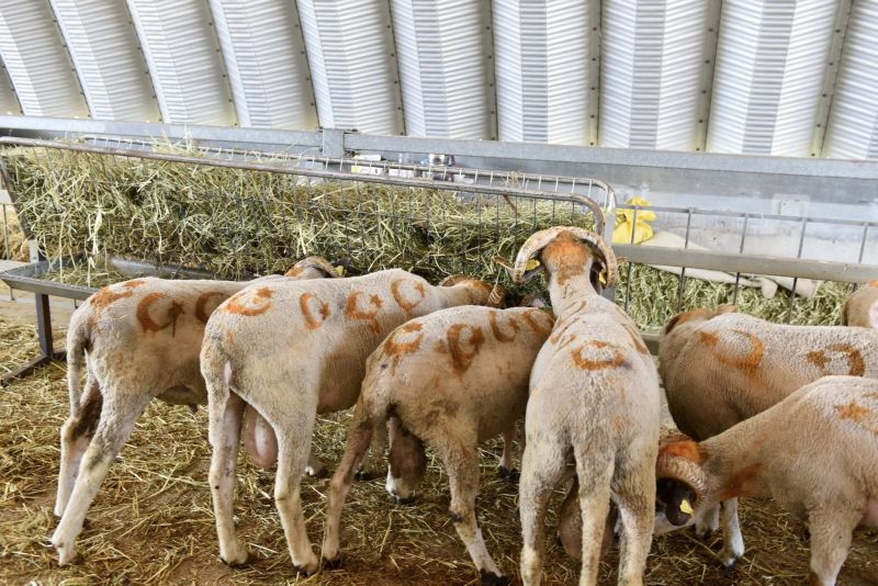 504081128 1108201161350745 4994644416151615809 n - Marmara Bölge Gazetesi