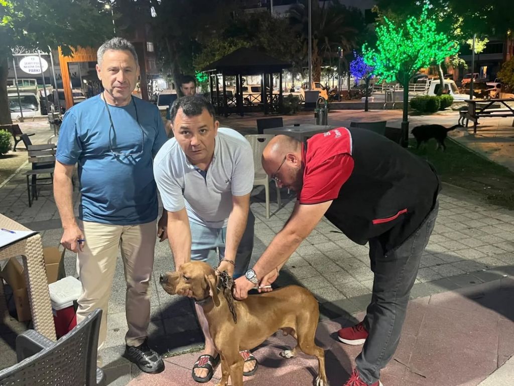 504343937 17965702748921582 3779933828812984970 n - Marmara Bölge Gazetesi