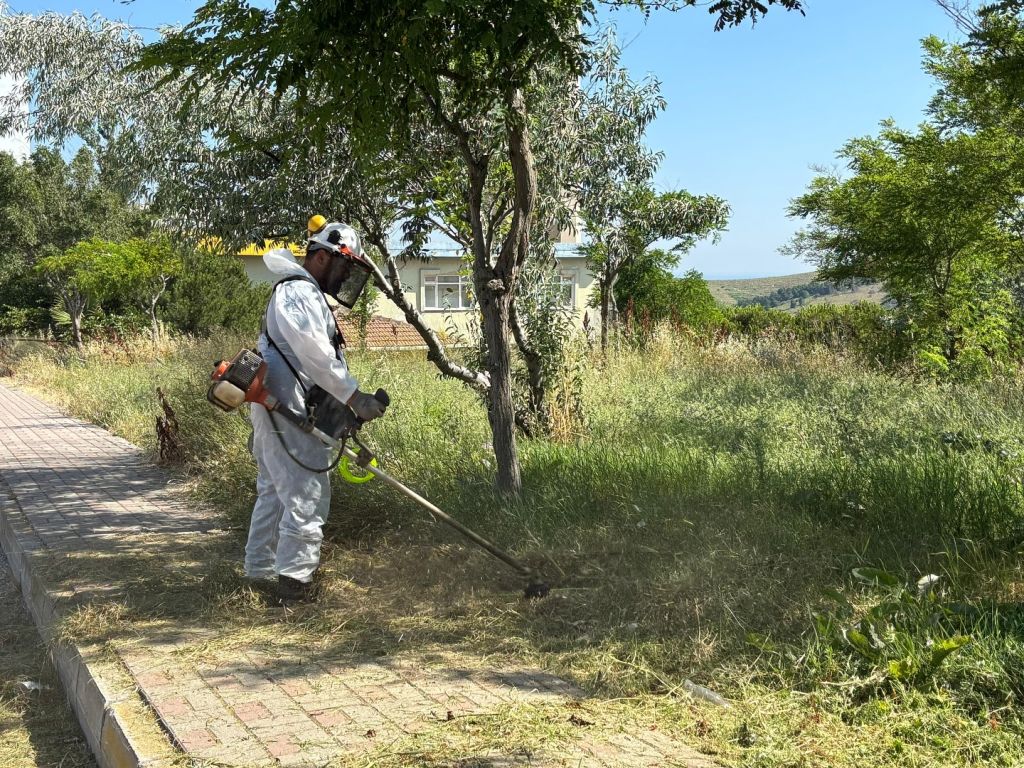 506302325 18316853056225400 2991001514443042868 n - Marmara Bölge Gazetesi